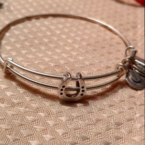 Alex and Ani Horseshoe bracelet